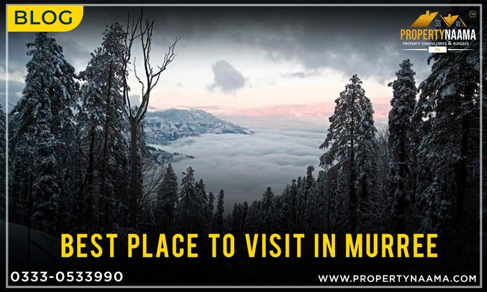 Best Place to Visit in Murree