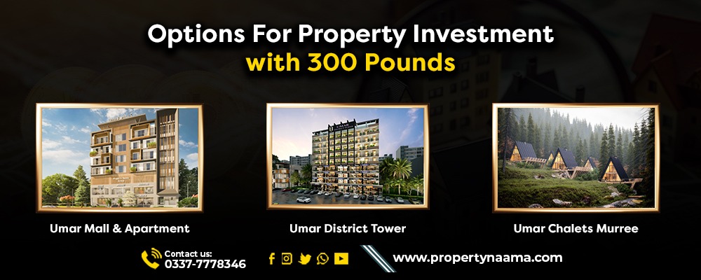 Property Investment with 300 Pounds