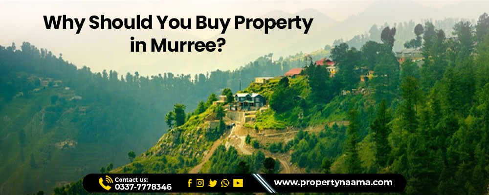 Buy Property in Murree