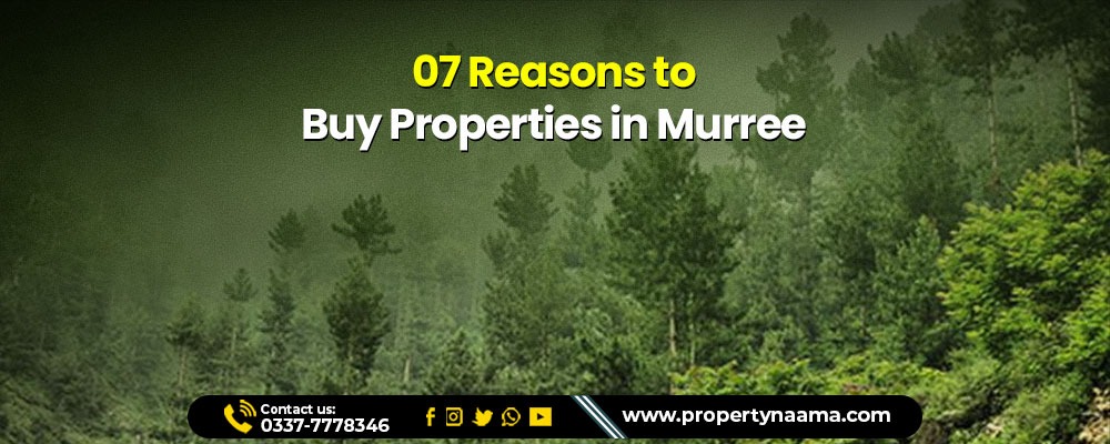 Properties in Murree