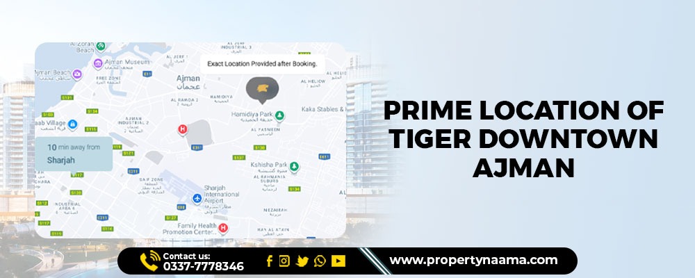 Tiger Downtown Ajman