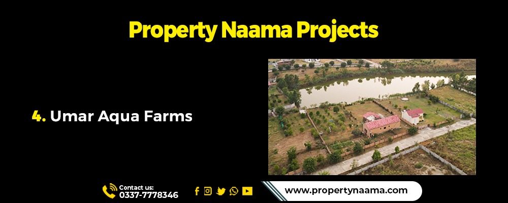 Why To Invest with Property Naama